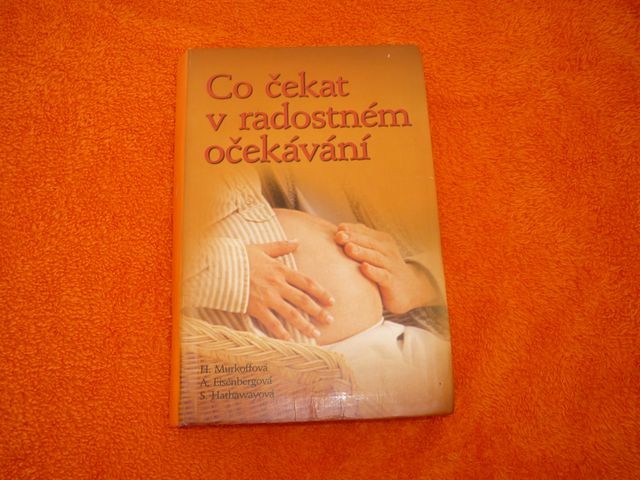 Kniha Co ekat v radostnm oekvn  - Fotografie . 1